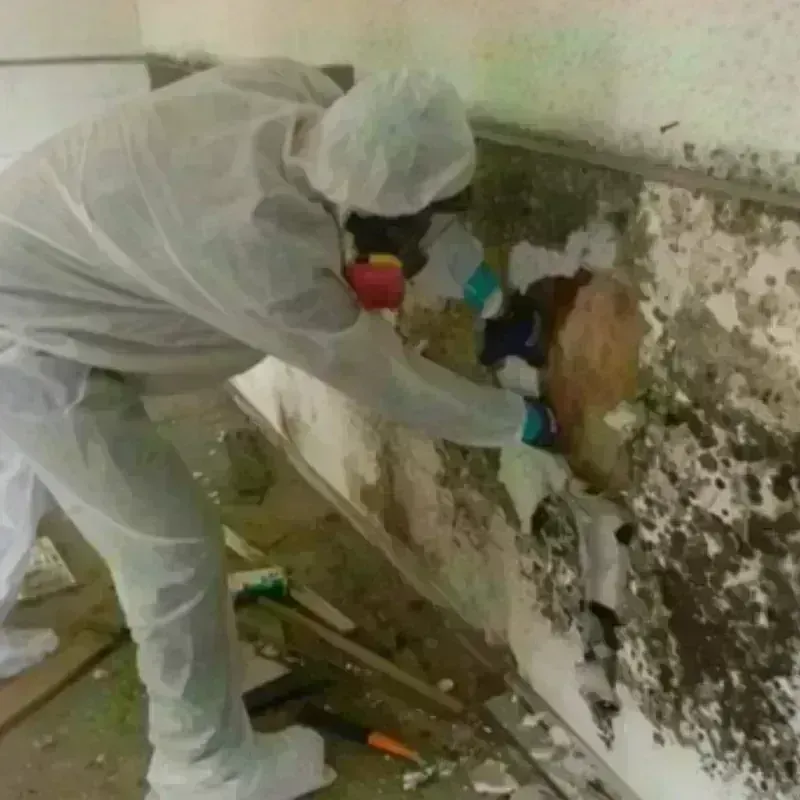 Mold Remediation and Removal in Tillman County, OK