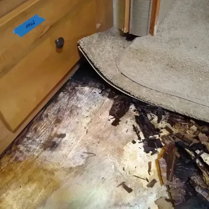 Wood Floor Water Damage in Tillman County, OK